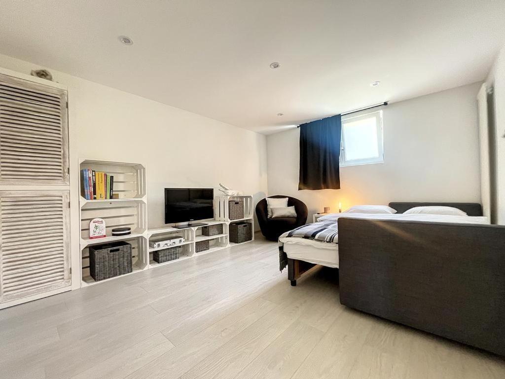 Appartement Moderne Avec Terrasse Et Piscine A Chatel Sur Bex Kültér fotó